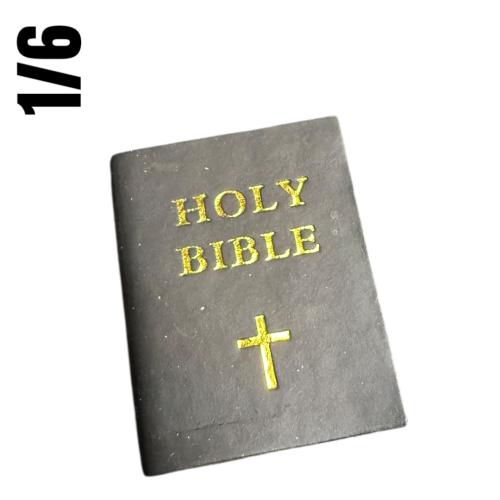 Artikelbild des Artikels “1:6 Holy Bibel “