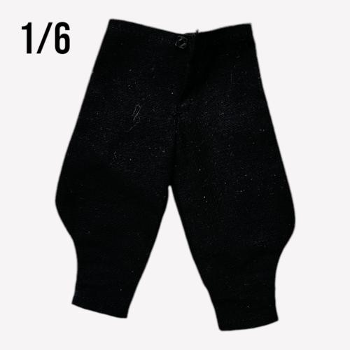 Artikelbild des Artikels “Breeches Hose schwarz 1/6 “