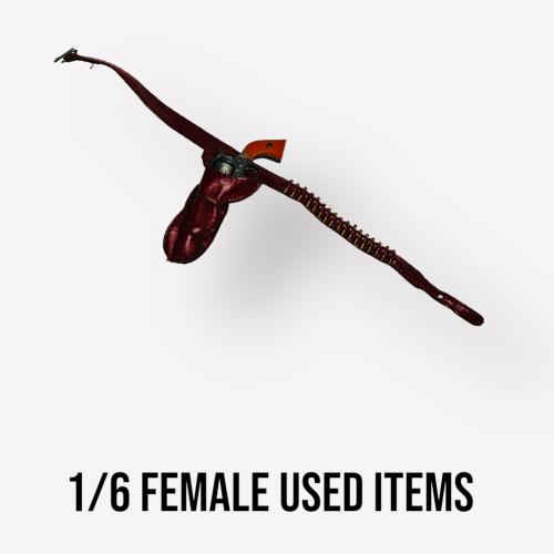Product image of the product “1/6 Female Westernstyle Holster with Colt ”