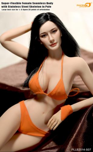 Product image of the product “Phicen Seamless Body PLMB2014-S06 ”