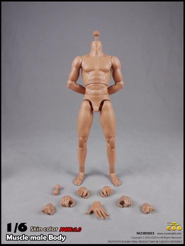 Artikelbild des Artikels “1:6 2.0 Long Neck male Body HIGH (narrow shoulders) “