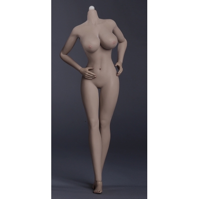 Product image of the product “dark Seamless Female Body (Large Bust) 1/6 ”