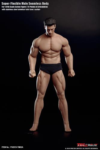 Product image of the product “1/12th Scal Male Seamless Muscel Body ”