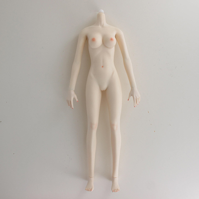 Product image of the product “Caucasian Seamless Female Body (Middle Bust) -  1:6 ”