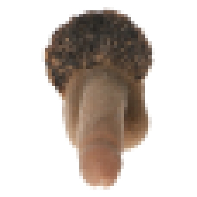Artikelbild des Artikels “Seamless Ultragenitalien  1:6 “