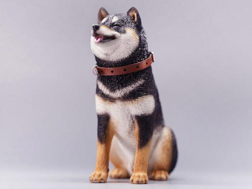 Product image of the product “Shiba Inu Smiling (Ver. A 1/6 Scale Figure ”