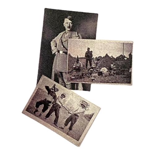 Artikelbild des Artikels “3 Bilder 1:6 “