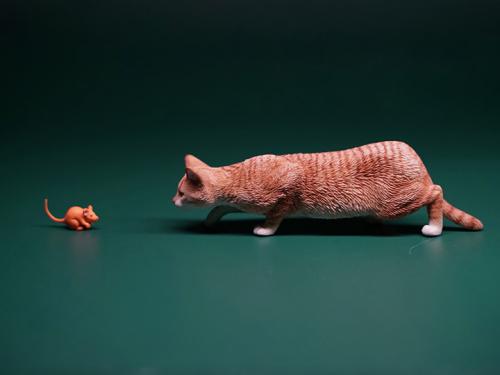 Product image of the product “Felis Catus 2.0 (Ver. A) 1/6 Scale Figure ”