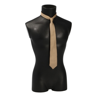 Product image of the product “Tie  (Beige) 1/6 ”