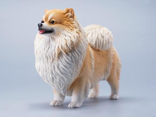 Product image of the product “Pomeranian (Ver. D) 1/6 Scale Figure ”