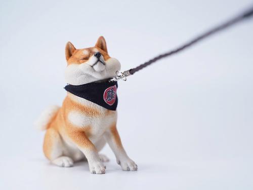 Product image of the product “Rebellious Shiba Inu (Ver. A1) 1/6 ”