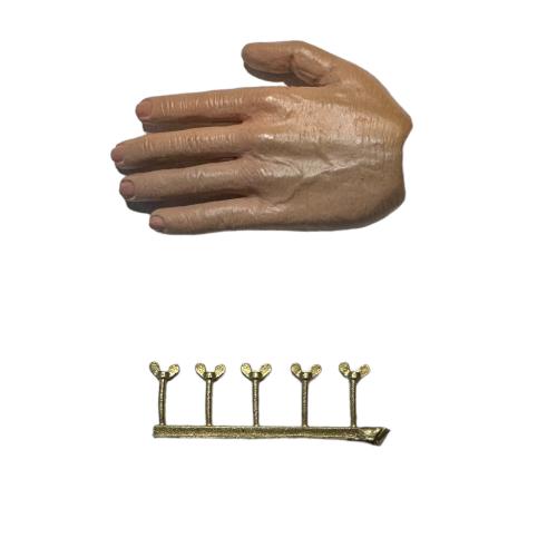 Product image of the product “Wingnuts  1/6 Gold (Small) ”