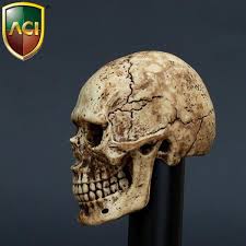Product image of the product “Skull Head Sculpt ”