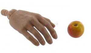Product image of the product “Apple 1/6 ”