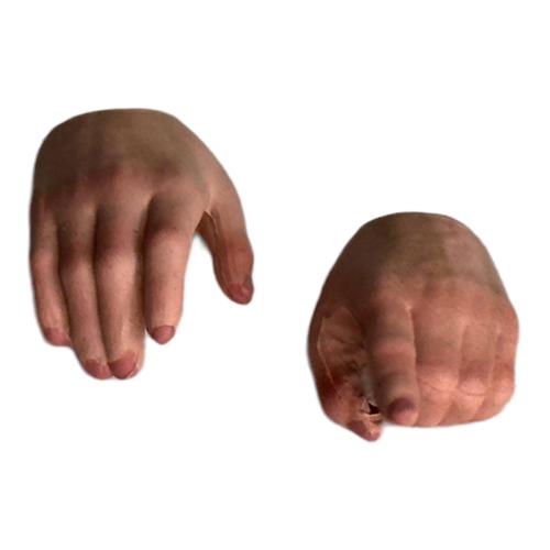 Artikelbild des Artikels “1/12  Hands “