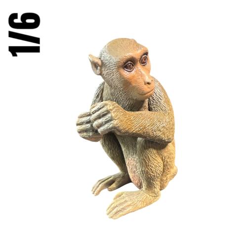 Artikelbild des Artikels “1/6 Scale Big Affe “