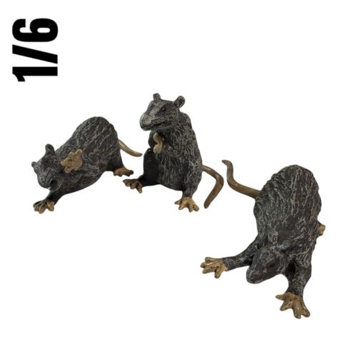 Artikelbild des Artikels “1/6 Scale Rats (3) “