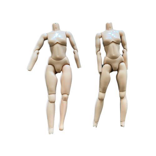 Artikelbild des Artikels “Evalution (EVA) Caucasian Body (2) “