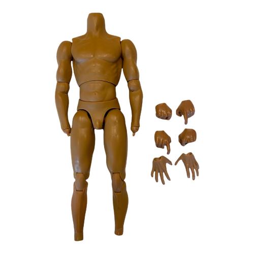 Artikelbild des Artikels “Basic Male Figure 1/6 “