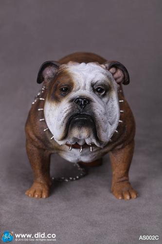 Artikelbild des Artikels “British Bulldog (Brown) 1:6 “