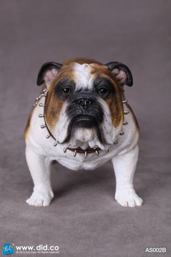 Artikelbild des Artikels “British Bulldog (Brown White) 1:6 “