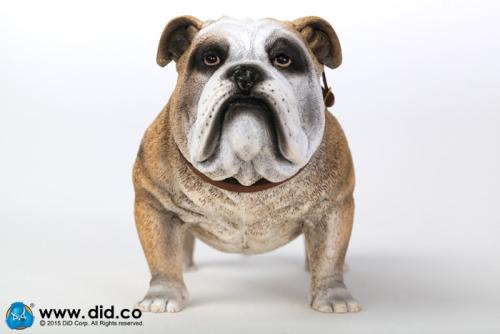 Artikelbild des Artikels “British Bulldog (Light Brown ) 1:6 “
