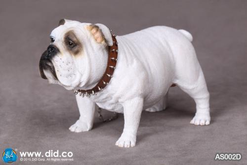 Artikelbild des Artikels “British Bulldog (White) 1:6 “
