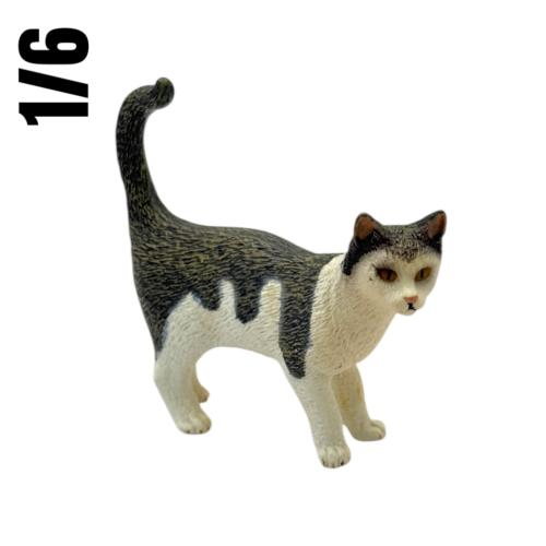 Artikelbild des Artikels “Cat (2 Color) 1/6 “