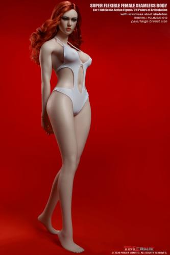 Product image of the product “Super Flexibel Seamless Body PLLB2010-S42A (large bust size, pale) ”
