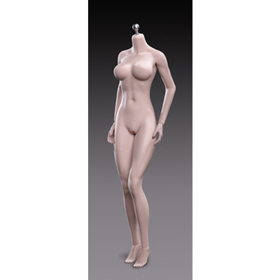 Product image of the product “Caucasian Seamless Female Body (Middle Bust) Pale short Body ”