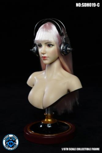 Artikelbild des Artikels “Caucasian Female Headsculpt 1:6 “