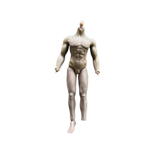 Artikelbild des Artikels “Muscle Body Suntan 1/6 “