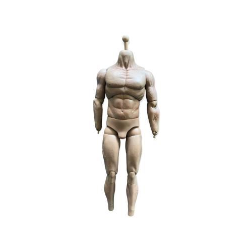 Artikelbild des Artikels “Muscle Body Suntan 1/6 “