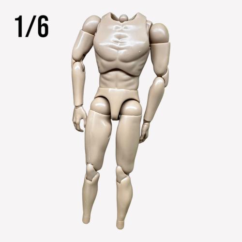 Artikelbild des Artikels “Costum Body  Basic 1/6 “