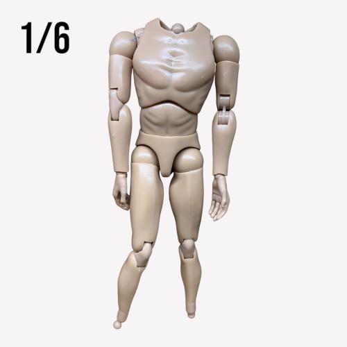 Product image of the product “Costum Body  Basic 1/6 ”