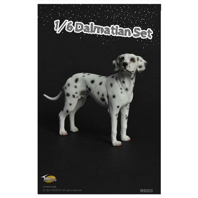Artikelbild des Artikels “Dalmatian dog (Black White)) 1:6 “
