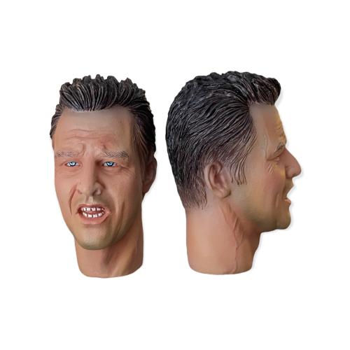 Product image of the product “DID Head Steven 1/6 ”