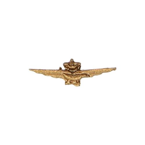Artikelbild des Artikels “Flugzeugführerabzeichen Italien 1/6 “