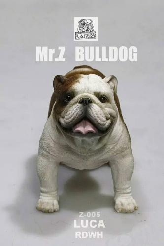 Artikelbild des Artikels “English Bulldog Luca 1:6 “