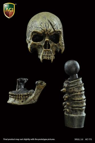 Product image of the product “Skull Vampire edition Head Sculpt 1/6 ”