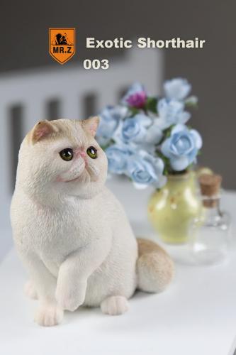 Product image of the product “Exotic Shorthair Cat (Beige) 1/6 ”