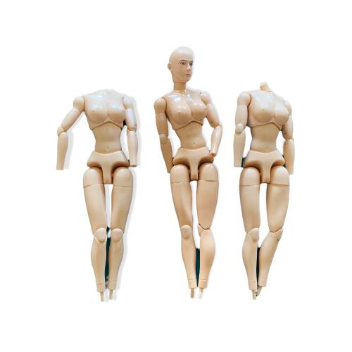 Artikelbild des Artikels “Femal Body 1/6 Set (3) “