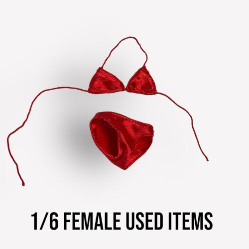 Artikelbild des Artikels “Female Swimming Suit Tanga 1:6 “