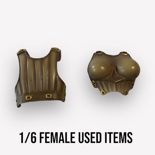 Artikelbild des Artikels “Female Brust Plate 1/6. “