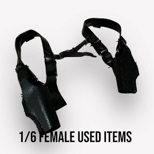 Artikelbild des Artikels “Matrix Neo Holster  1/6 “
