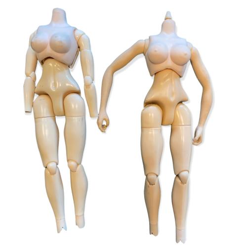 Product image of the product “Female Body 1/6 Set (2) ”