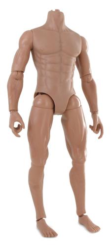 Artikelbild des Artikels “Nackte Männlicher Body  1:6 “