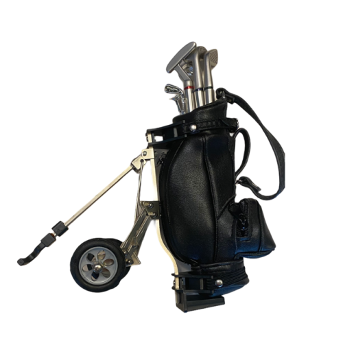 Artikelbild des Artikels “Golf set 1:6 “