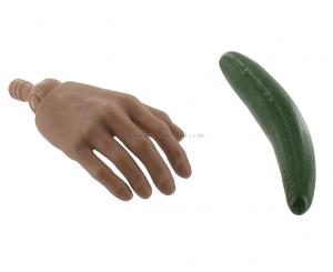 Artikelbild des Artikels “Gurke “