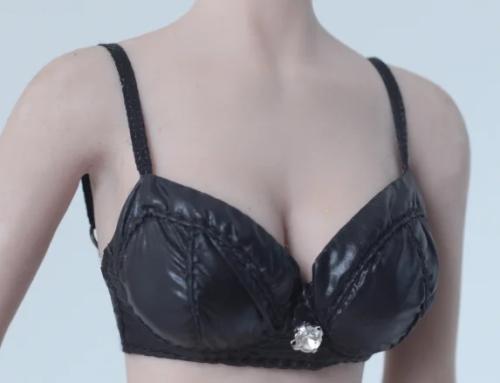 Artikelbild des Artikels “Female Bra (Black) “